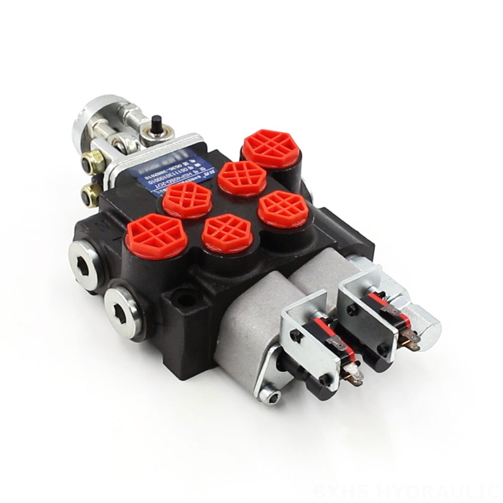 P40 Micro Switch Joystick 2 Spool Valvola direzionale monoblocco cover photo